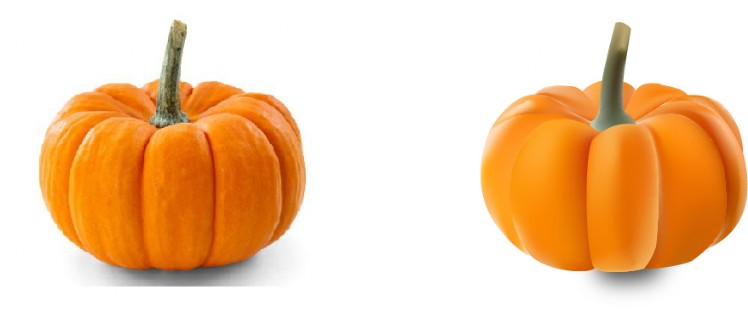 Riproduzione di una zucca zucca con Illustrator. Riproduzione zucca con strumento Copia sfumatura di Illustrator.