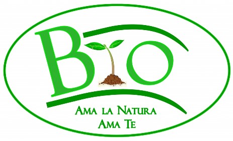 Menù catering Bio proposta grafica impaginato